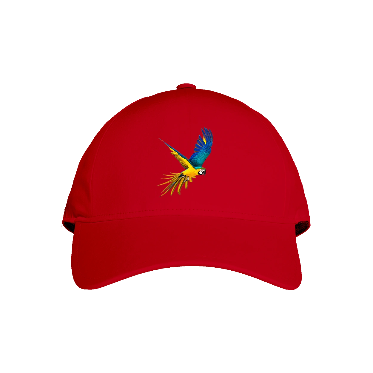 Папуга українець