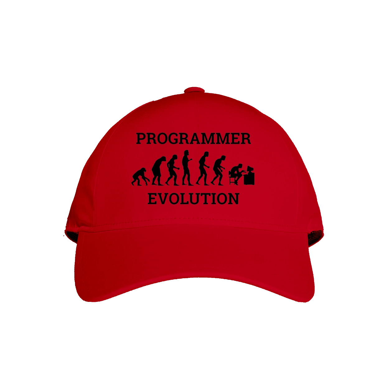 The evolution of the programmer