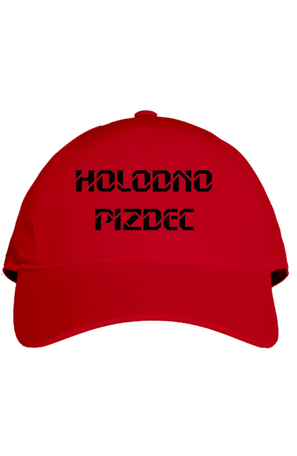 Кепка з принтом "Холодно". Гумор, з прикольним написом, зима, мем, погода, смішна, холодно. 2070702