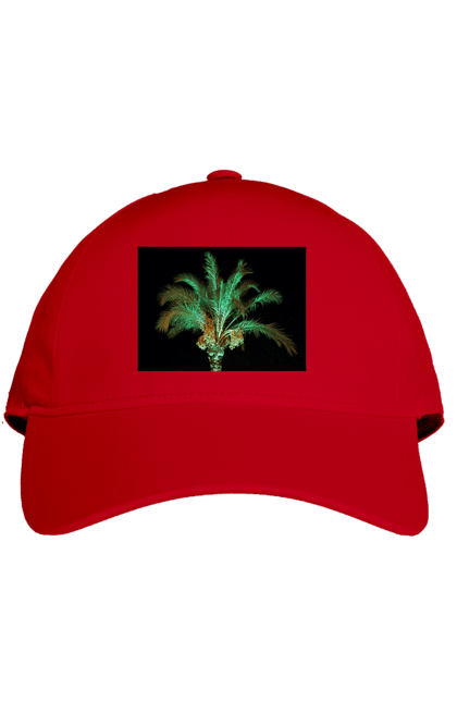 Кепка з принтом "Фінікова Пальма Вночі". Берег, відпочинок, відпустка, зелений, море, ніч, оазис, океан, острів, пальма, південь, подорож, пригоди, тропіки, фінікова, чорне. 2070702