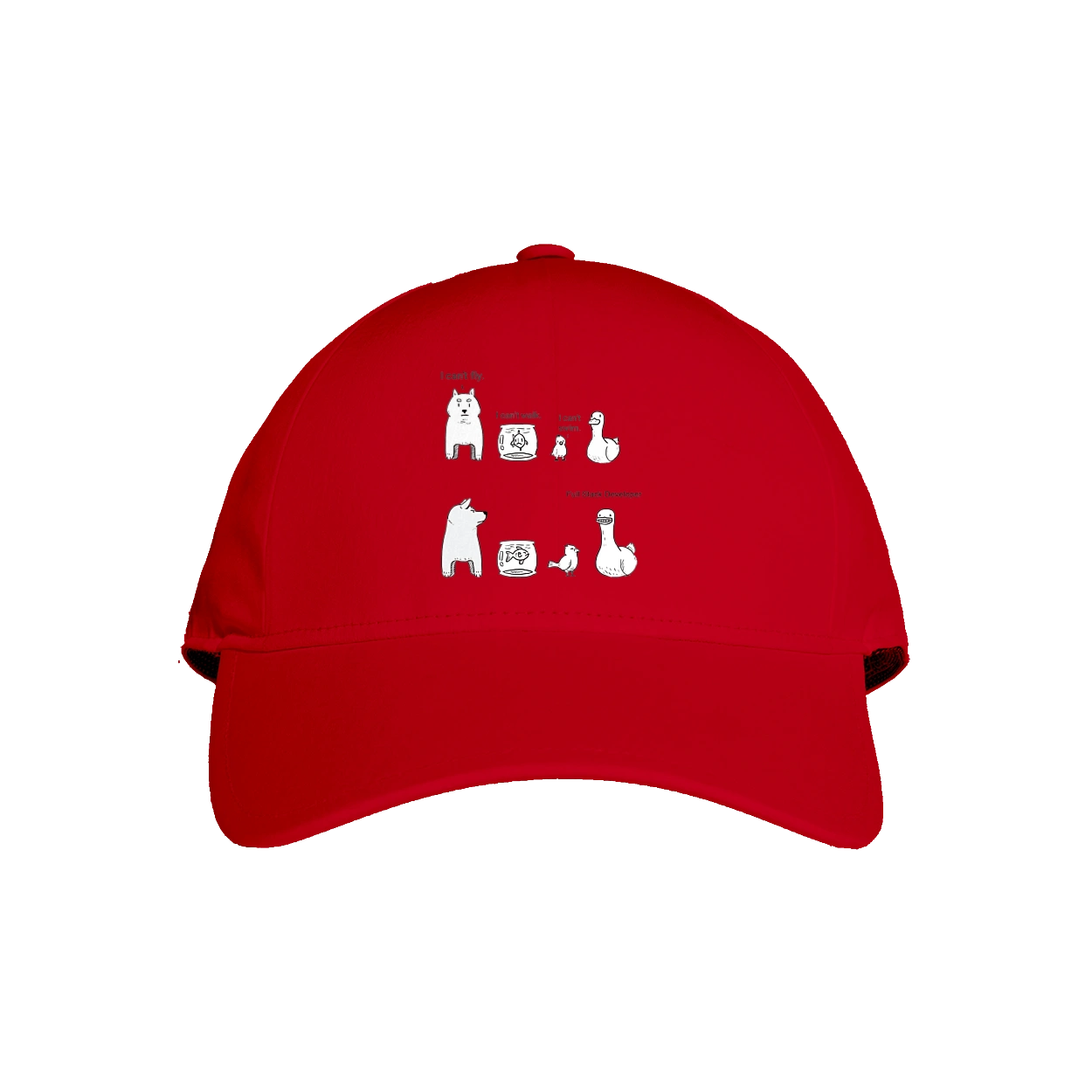 Full Stack Developer