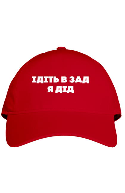 Кепка з принтом "Ідіть в зад я дід". Дід, для чоловіків, ідіть в зад, прикольний напис, смішний напис. 2070702