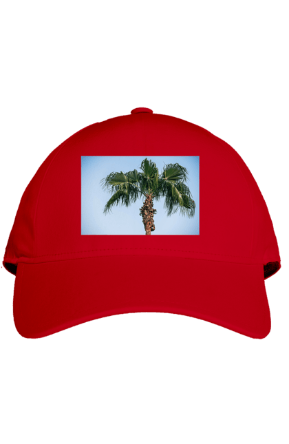 Кепка з принтом "Пальма на тлі неба". Берег, блакитне, відпочинок, відпустку, єгипет, зелений, зелені, лист, листя, море, небо, оазис, океан, острів, пальма, південь, подорож, пригоди, тропіки, туреччина. 2070702