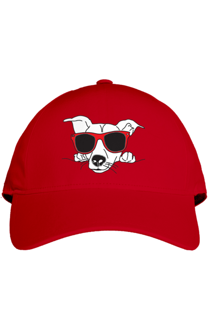 Кепка з принтом "Собака Визирає". Визирати, окуляри, собака. 2070702