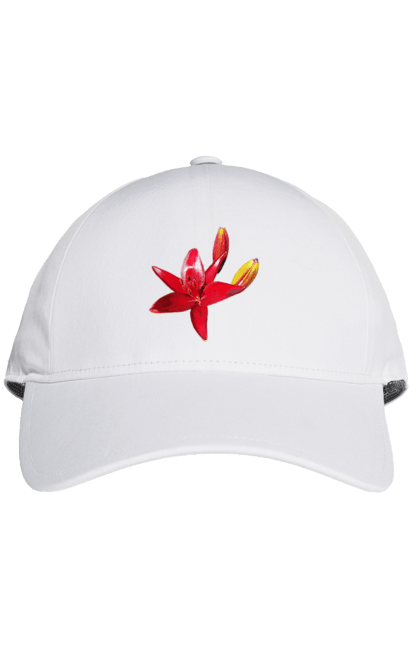 Кепка з принтом "Червона лілія". Бутон, квітка, колір, лілія, природа, сонячний, червона квітка, червона лілія, червоний, яскравий. 2070702