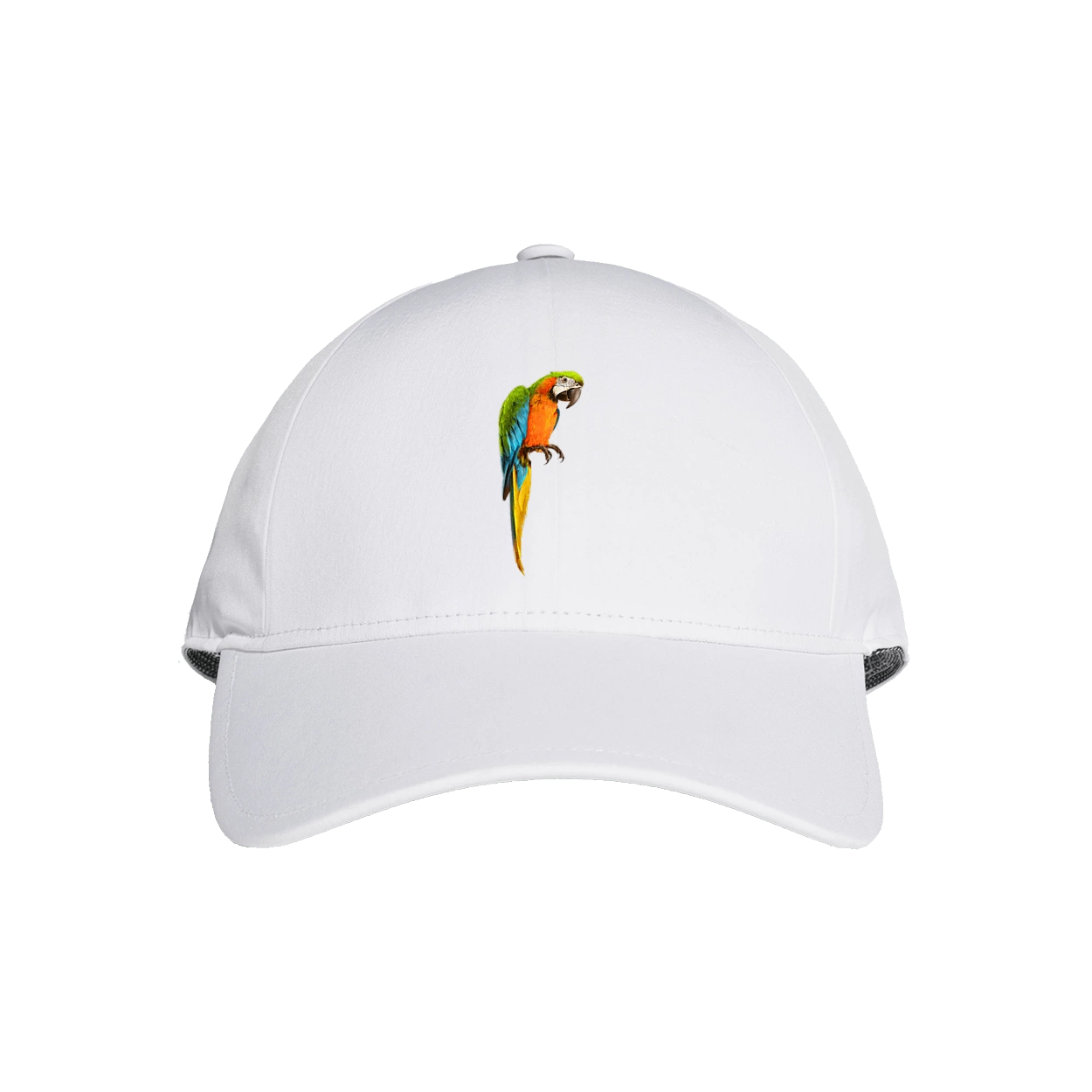 Просто Попугай