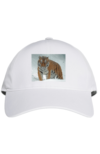 Кепка з принтом "Тигр у снігу". Велика кішка, великий кіт, дика природа, дикий, звір, зуби, погляд, портрет, природа, стилізація, тварина, тигр, хижак. CustomPrint.market