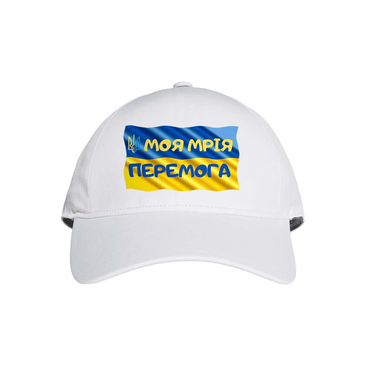 Моя мрія перемога. стяг України. герб України