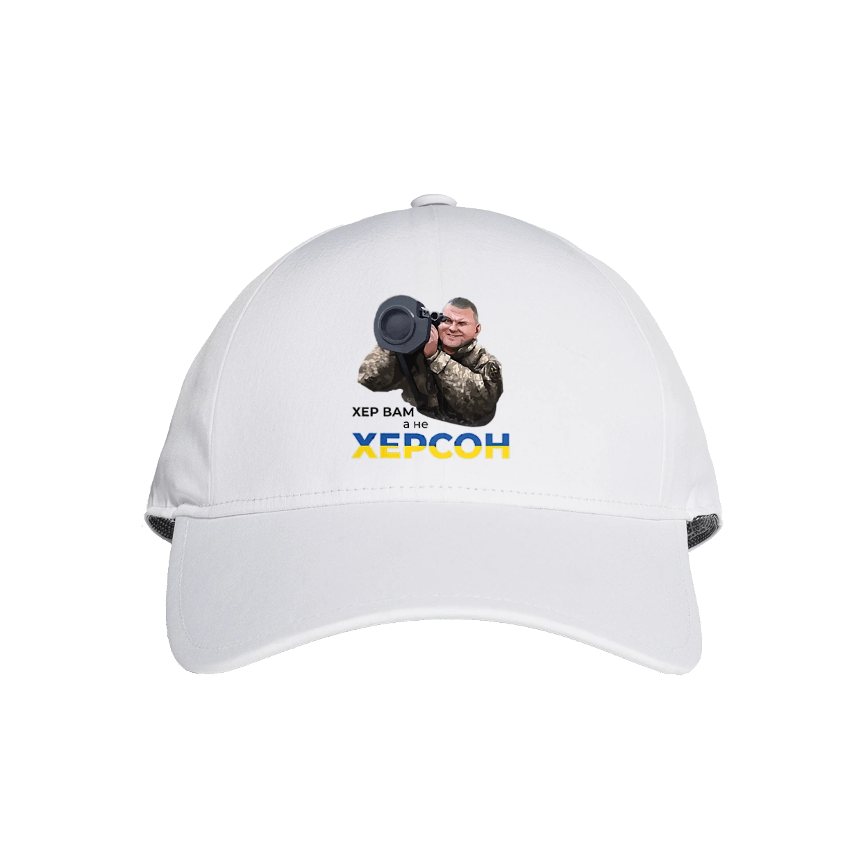 Zaluzhny about Kherson