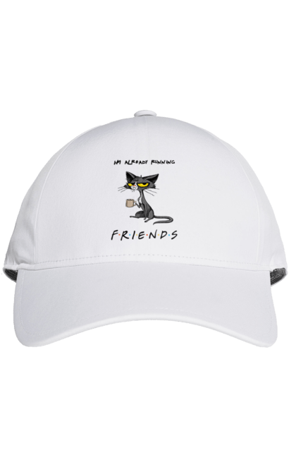 Кепка з принтом "Друзі, вже біжу". Вже біжу, відвали, друзі, йди нахуй, кіт з чашкою, не вчіть жити, пародія серіал, сам собі друг, самотність сука, серіал кіт. 2070702