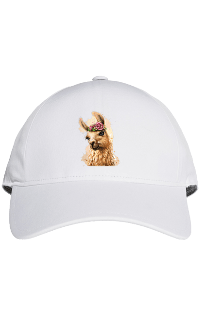 Кепка з принтом "Лама Портрет". Лама, портрет, тварина. 2070702