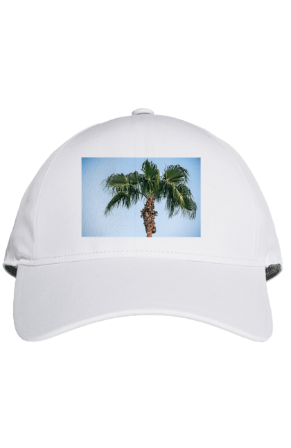 Кепка з принтом "Пальма на тлі неба". Берег, блакитне, відпочинок, відпустку, єгипет, зелений, зелені, лист, листя, море, небо, оазис, океан, острів, пальма, південь, подорож, пригоди, тропіки, туреччина. 2070702