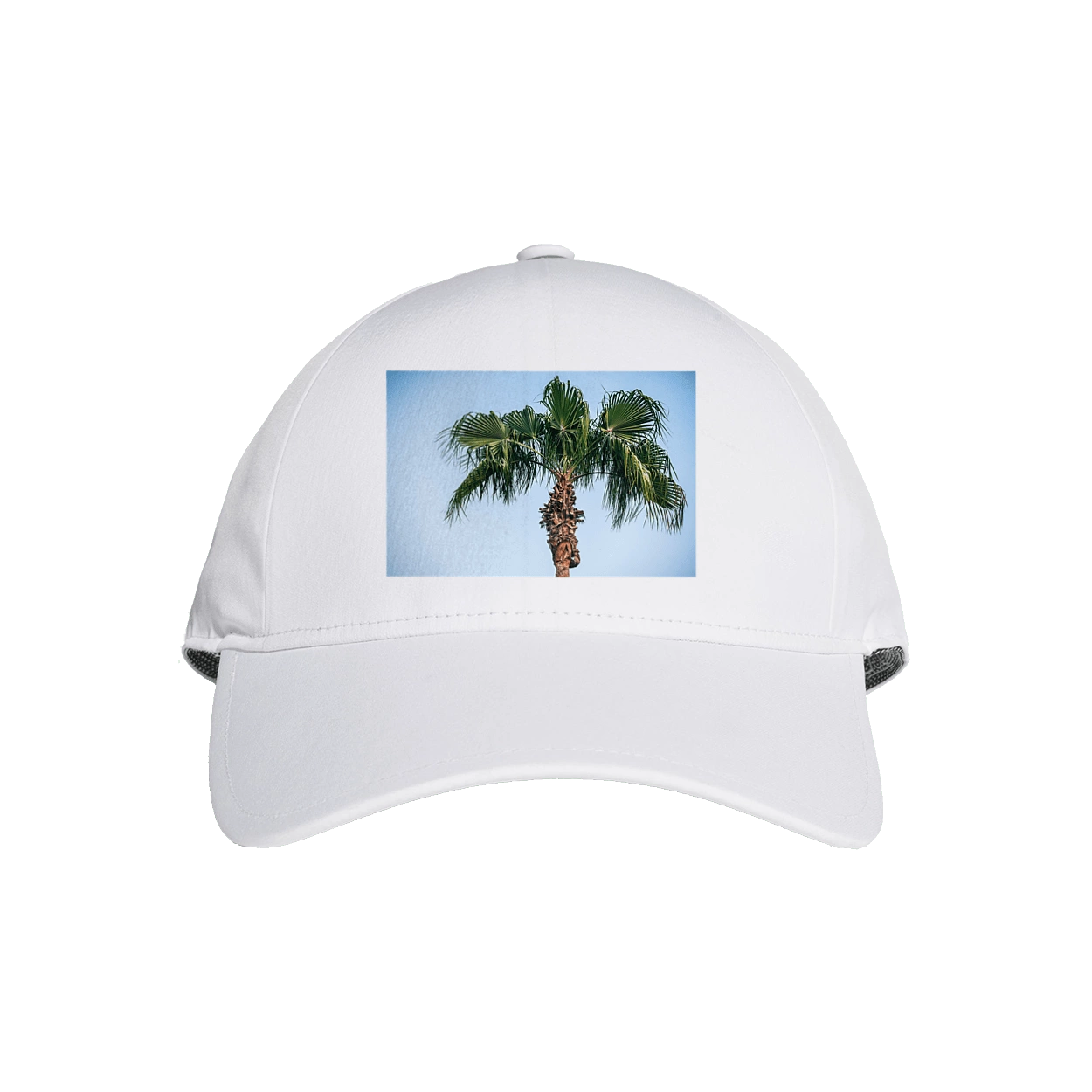 Пальма на тлі неба