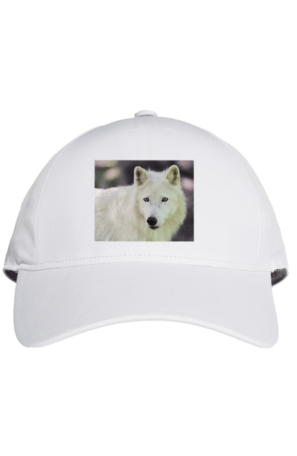 Кепка з принтом "Волк". White, wolf, білий, волк, ліс. CustomPrint.market