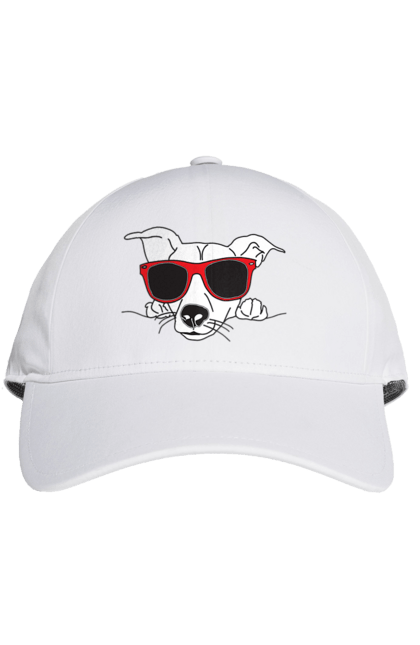 Кепка з принтом "Собака Визирає". Визирати, окуляри, собака. 2070702