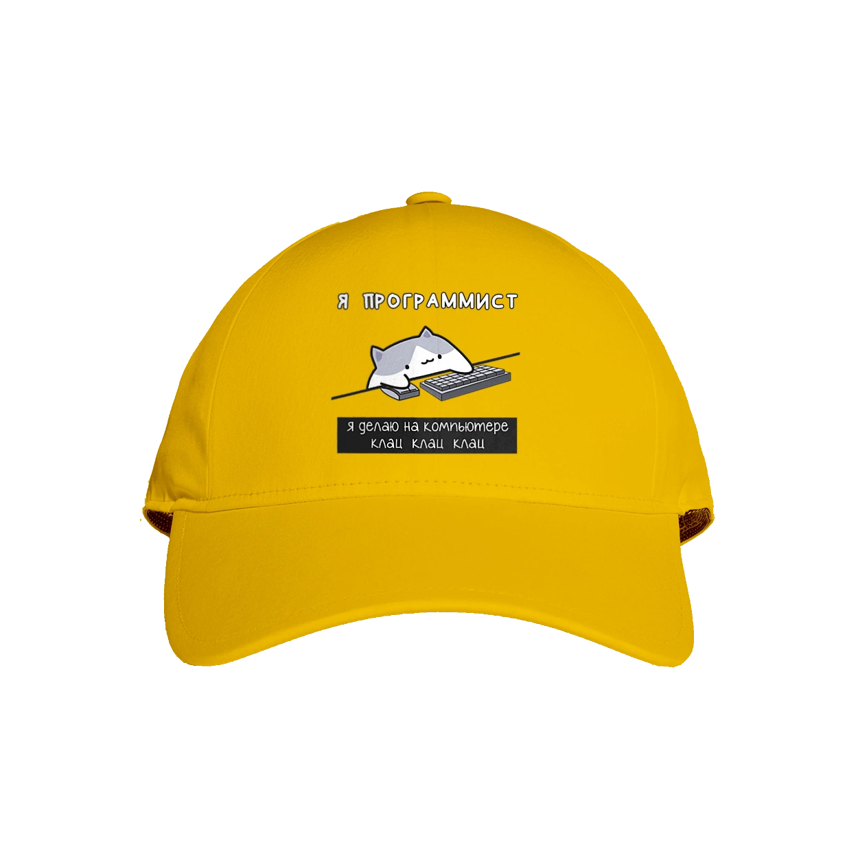 I am a computer programmer