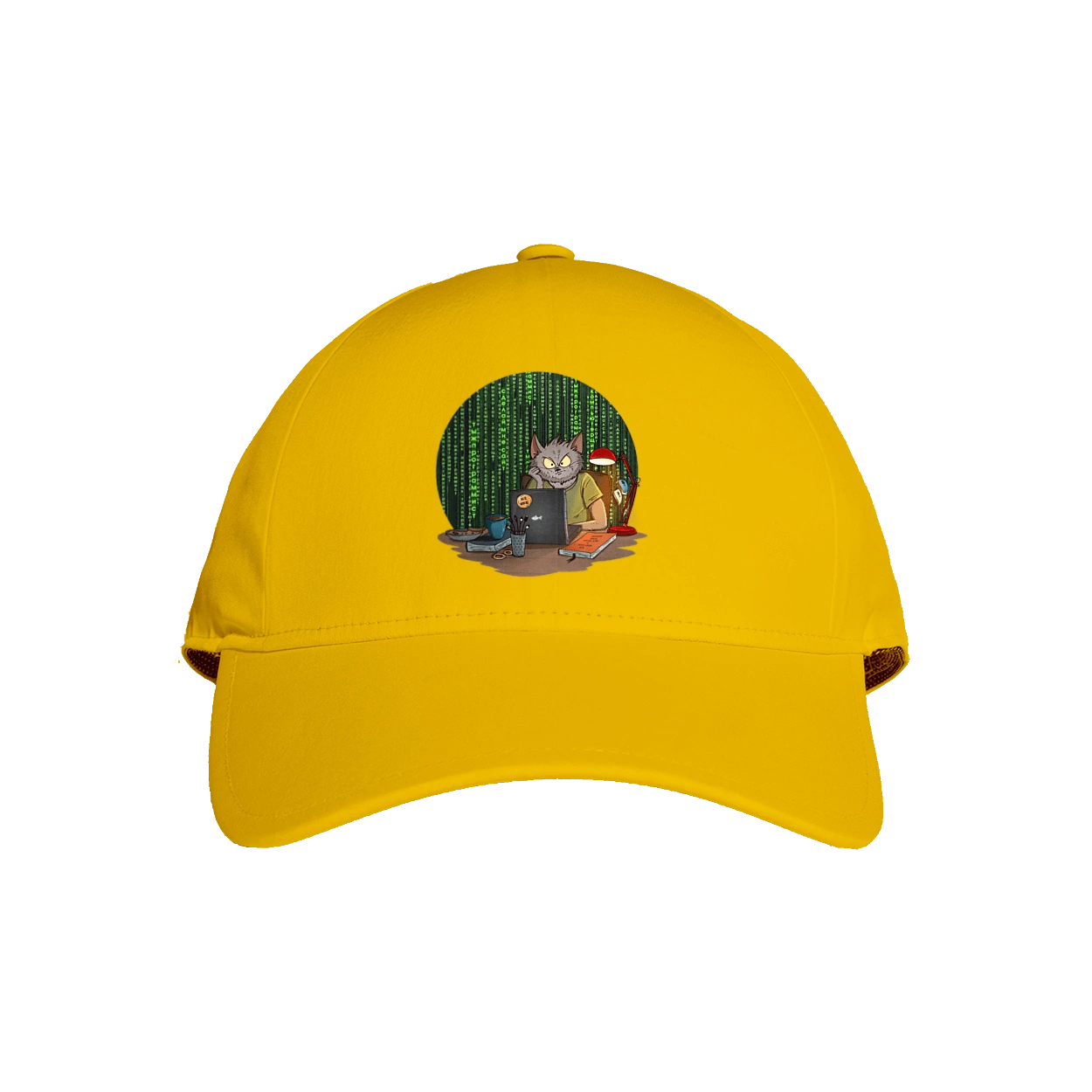 Кіт програміст