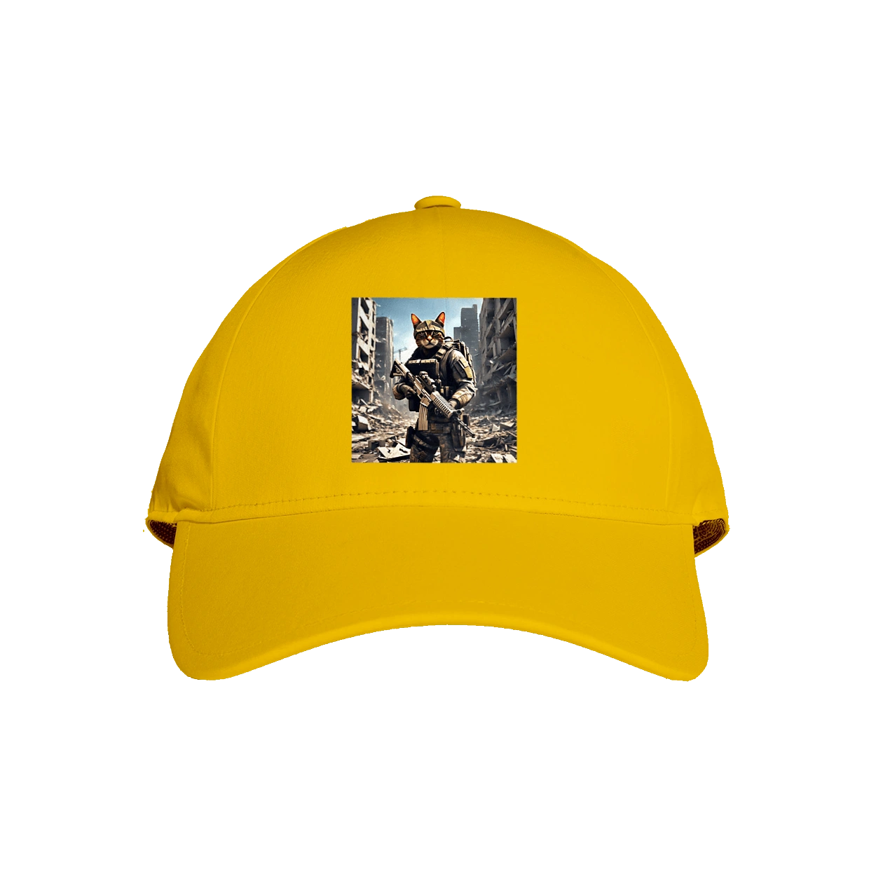 Кот десантник