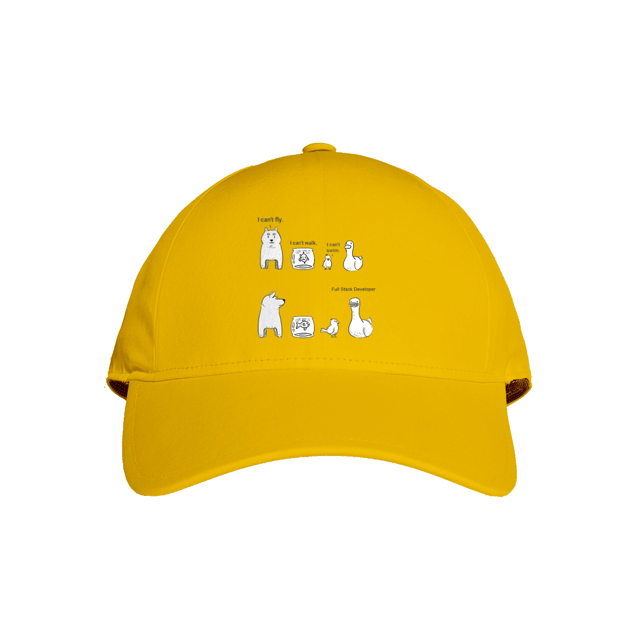 Full Stack Developer