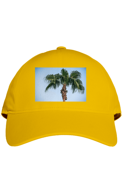 Кепка з принтом "Пальма на тлі неба". Берег, блакитне, відпочинок, відпустку, єгипет, зелений, зелені, лист, листя, море, небо, оазис, океан, острів, пальма, південь, подорож, пригоди, тропіки, туреччина. 2070702
