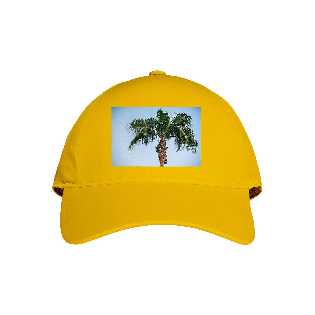 Пальма на тлі неба