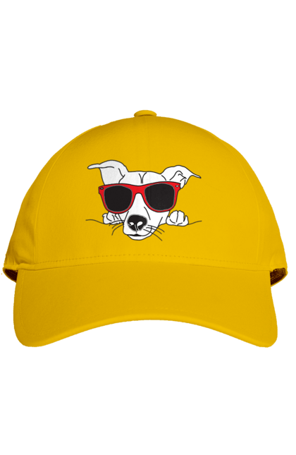 Кепка з принтом "Собака Визирає". Визирати, окуляри, собака. 2070702