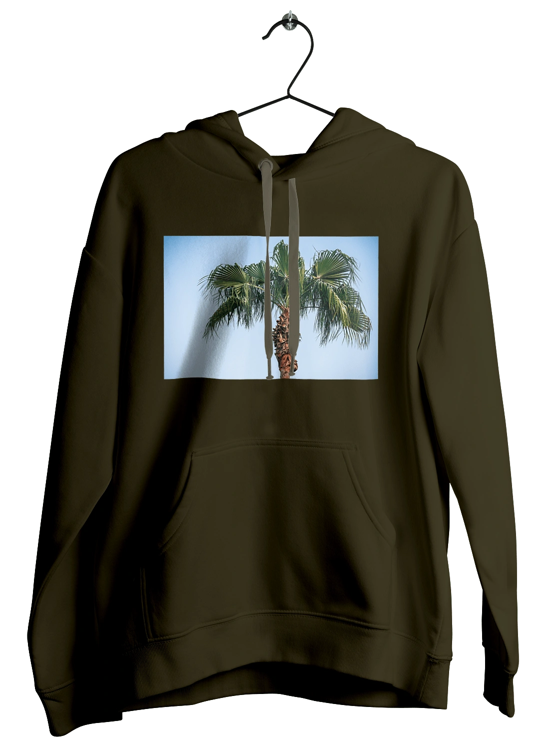 Palm tree against the sky