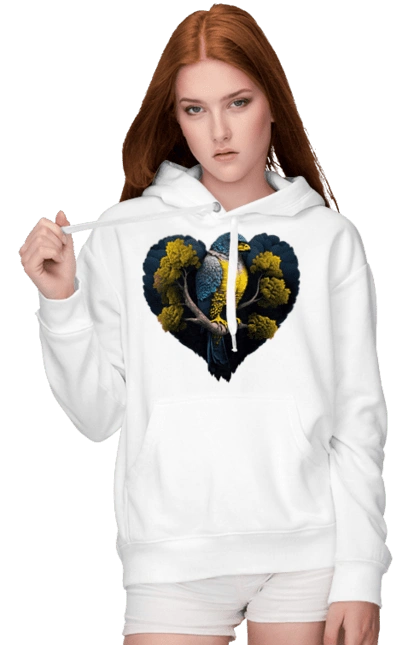 Blue and yellow falcon