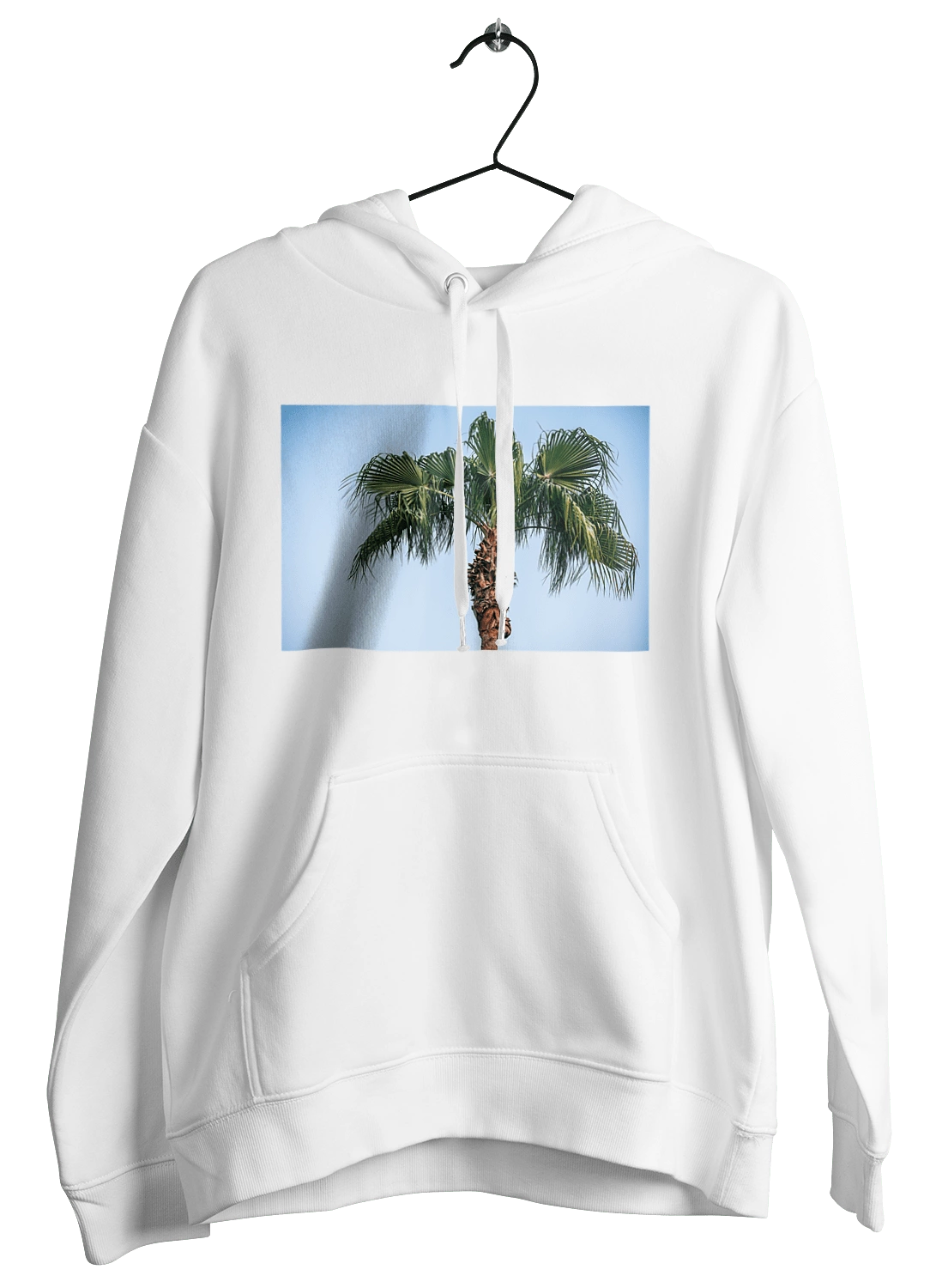 Palm tree against the sky