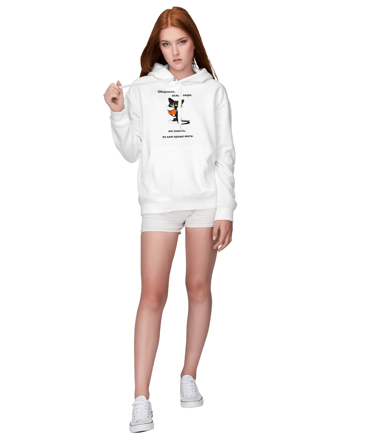 Мудрий кіт
