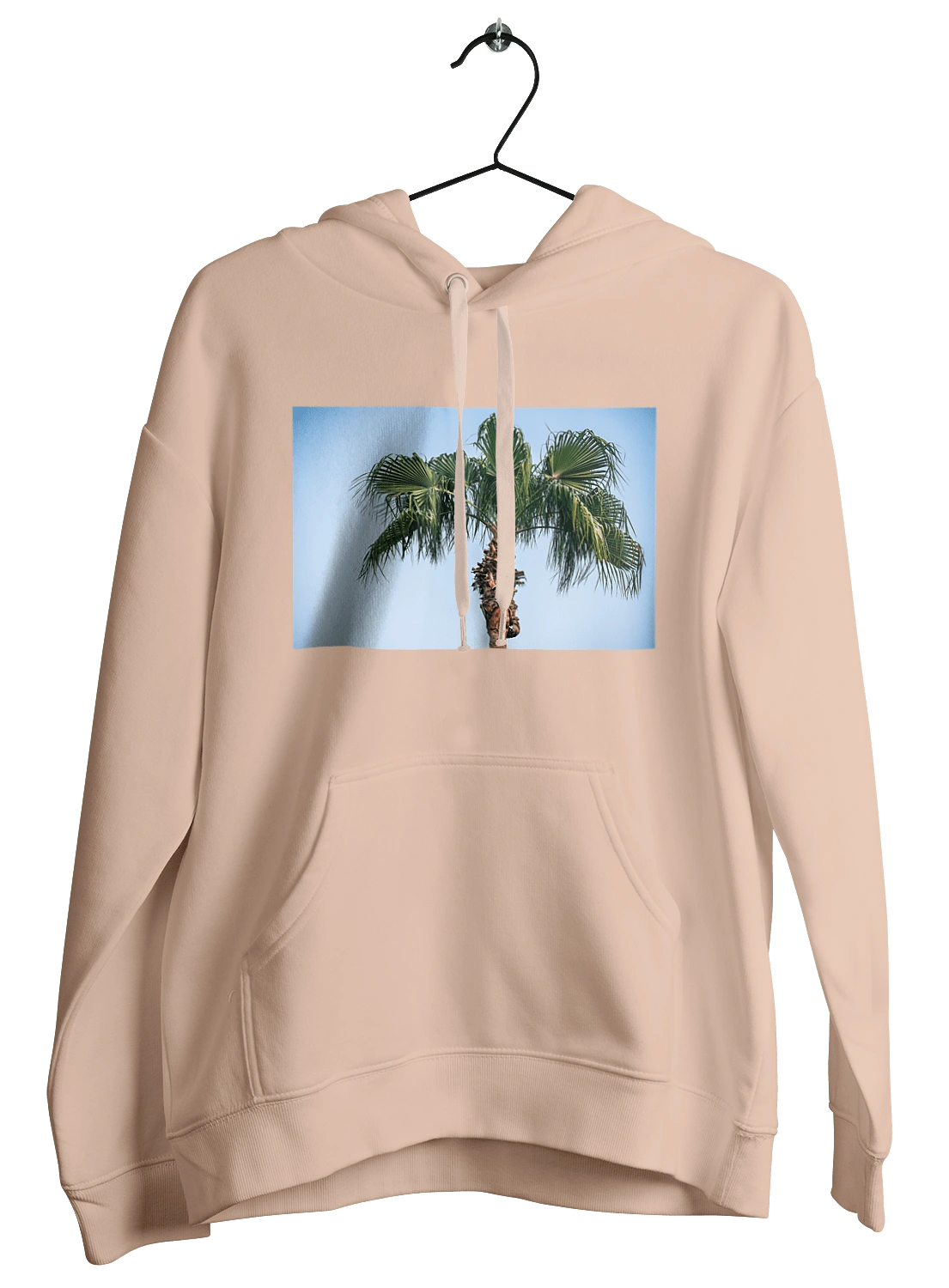 Пальма на тлі неба