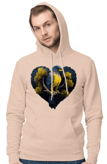 Blue and yellow falcon