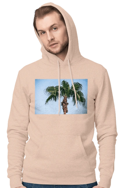 Пальма на тлі неба