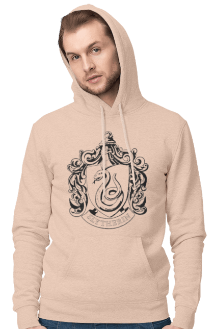 Men's hoodie with prints Harry Potter Slytherin. Faculty, franchise, harry potter, hogwarts, slytherin. 2070702