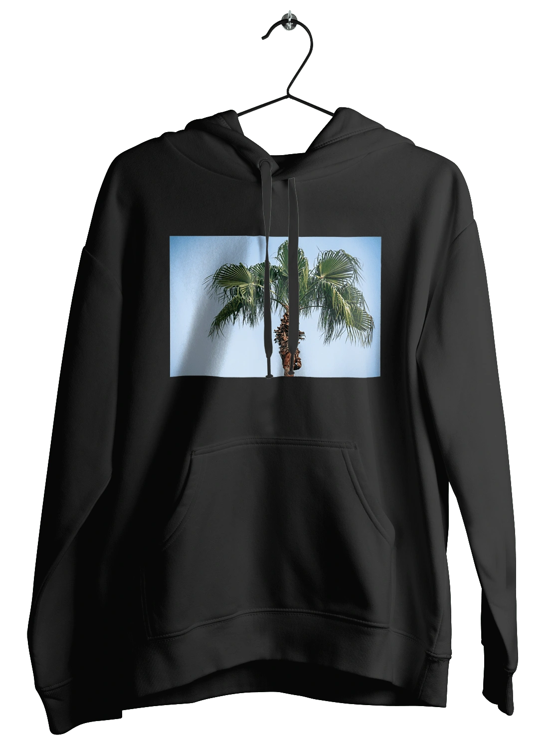 Palm tree against the sky