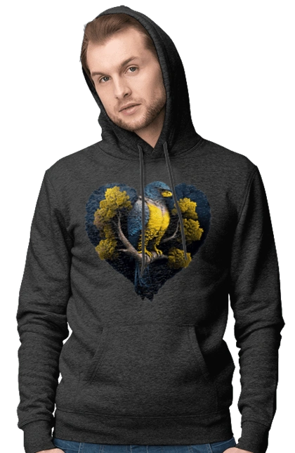 Blue and yellow falcon