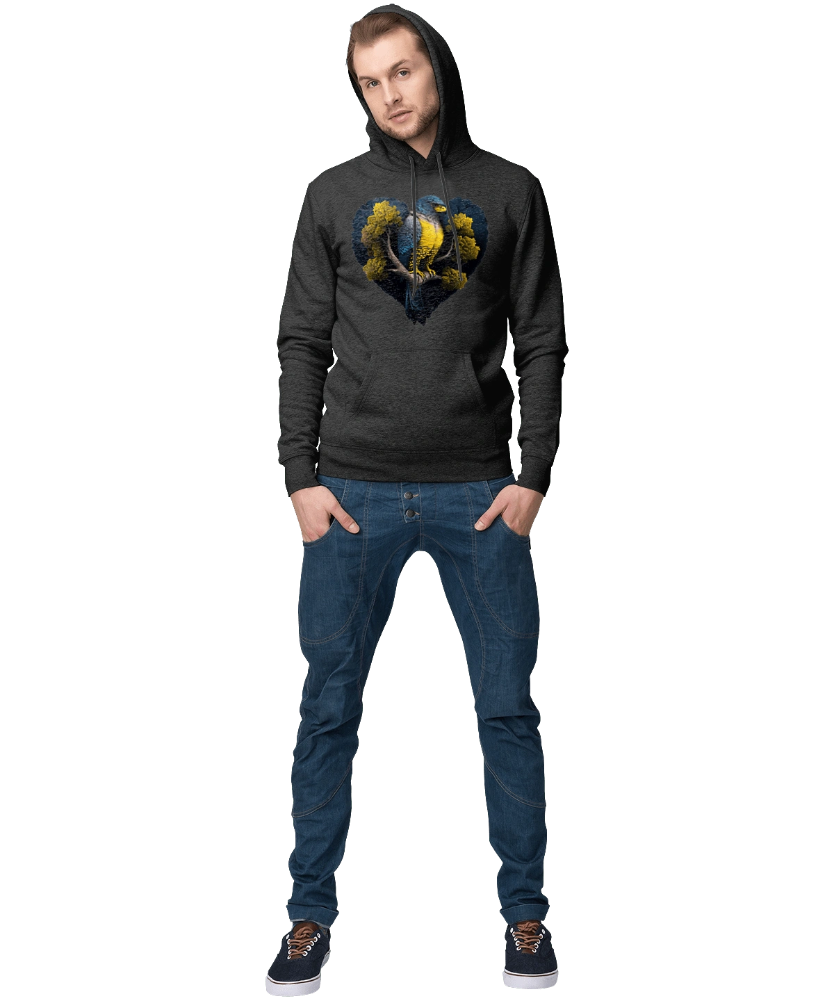 Blue and yellow falcon