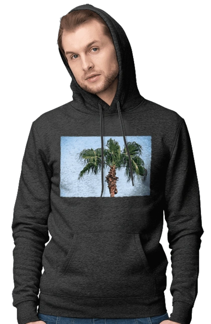 Palm tree against the sky