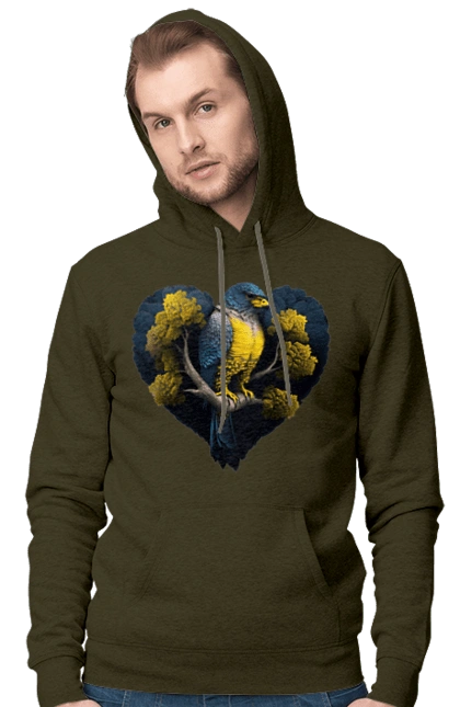 Blue and yellow falcon