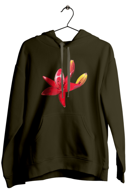Мужское худи с принтом Красная лилия. Бутон, красная лилия, красный, красный цветок, лилия, природа, солнечный, цвет, цветок, яркий. 2070702
