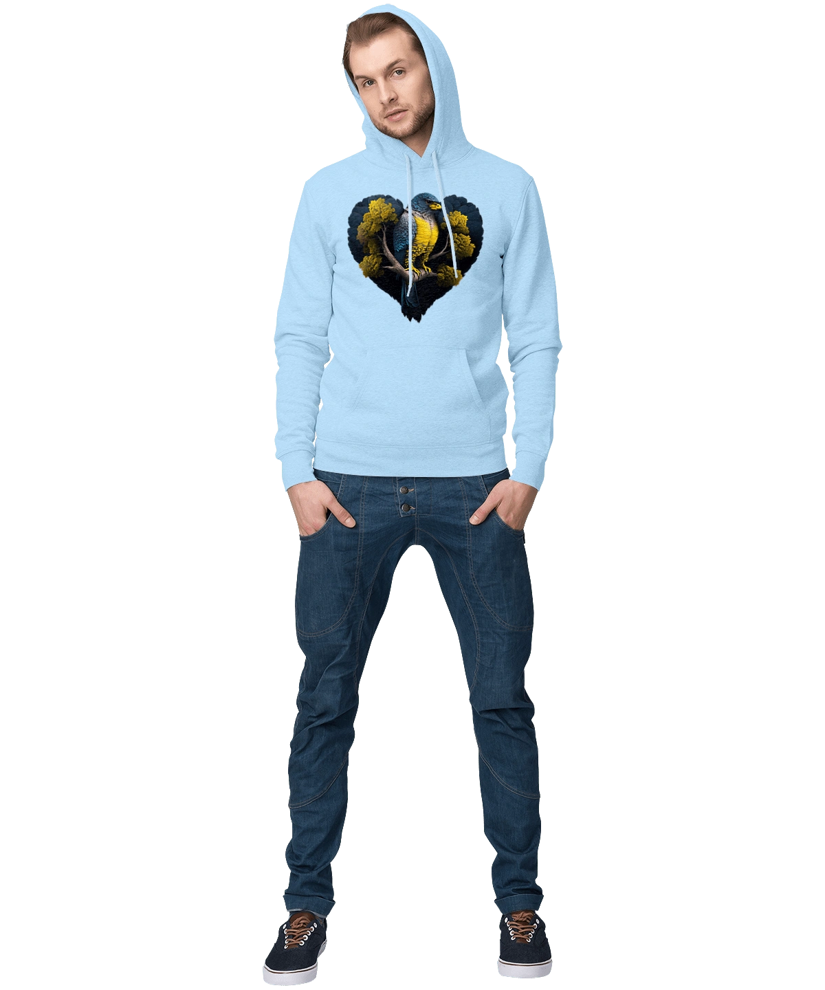 Blue and yellow falcon