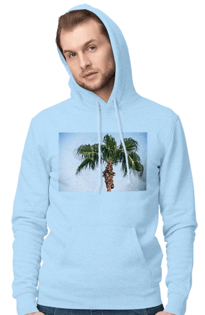 Пальма на тлі неба