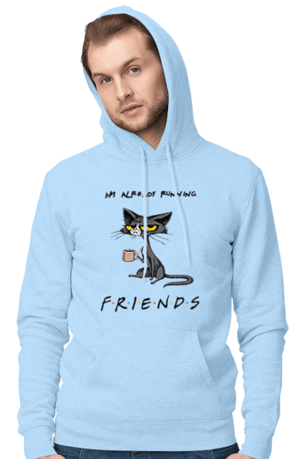 Чоловіче худі з принтом "Друзі, вже біжу". Вже біжу, відвали, друзі, йди нахуй, кіт з чашкою, не вчіть жити, пародія серіал, сам собі друг, самотність сука, серіал кіт. 2070702