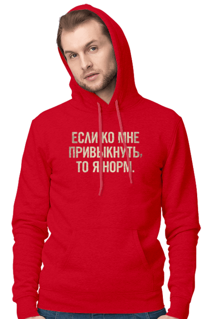 Чоловіче худі з принтом "Я норм". Все норм, гумор, меми, нормально, позитивні, смішні, смішні меми, смішні принти, смішні фрази. futbolka.stylus.ua