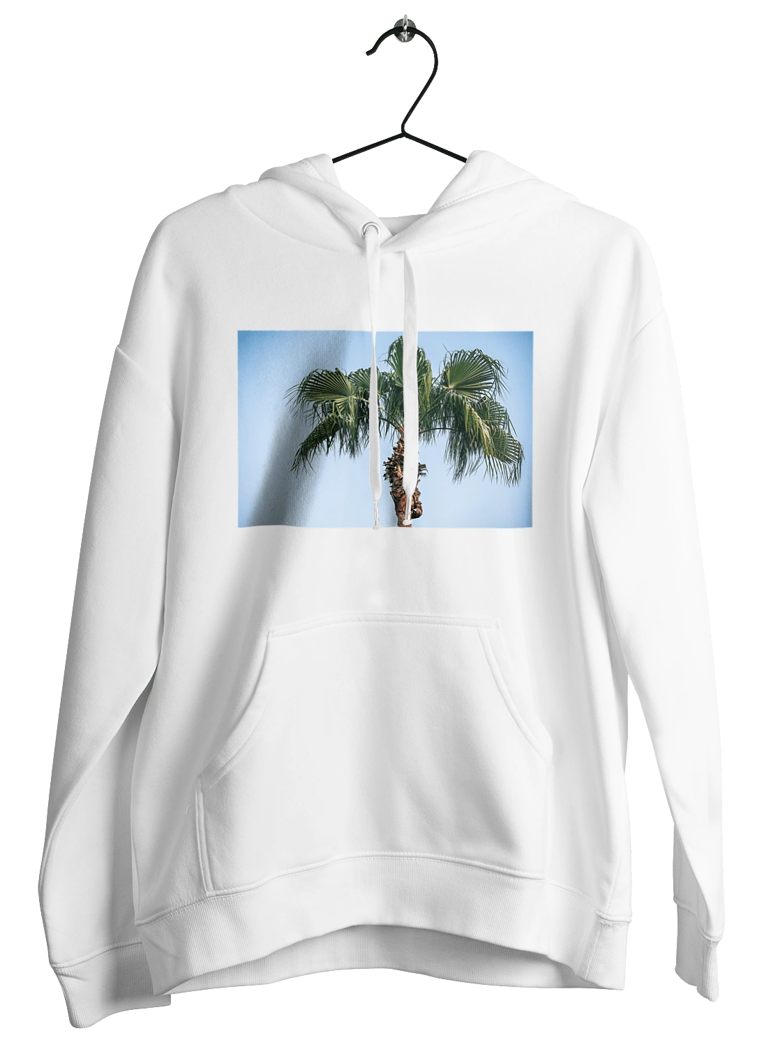 Palm tree against the sky