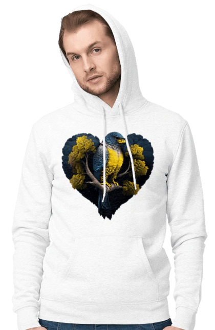 Blue and yellow falcon