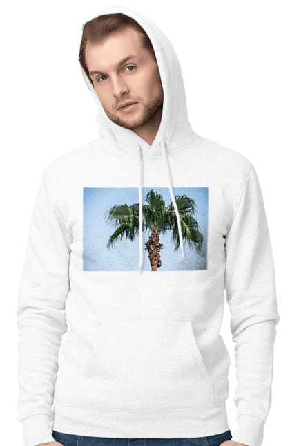 Palm tree against the sky