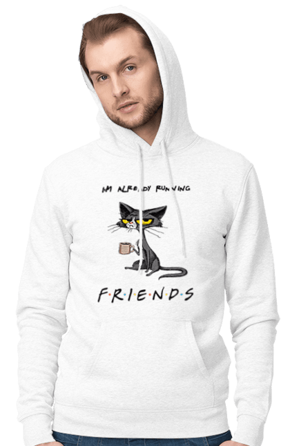 Чоловіче худі з принтом "Друзі, вже біжу". Вже біжу, відвали, друзі, йди нахуй, кіт з чашкою, не вчіть жити, пародія серіал, сам собі друг, самотність сука, серіал кіт. 2070702