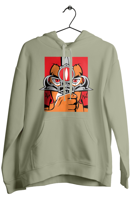 Men's hoodie with prints ThunderCats. Animated series, leisure concepts, science fiction, thundercats, warner bros. 2070702