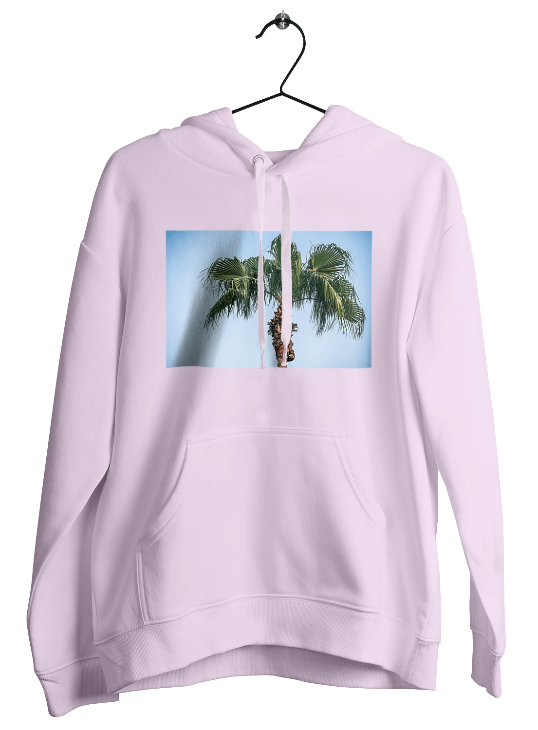 Palm tree against the sky